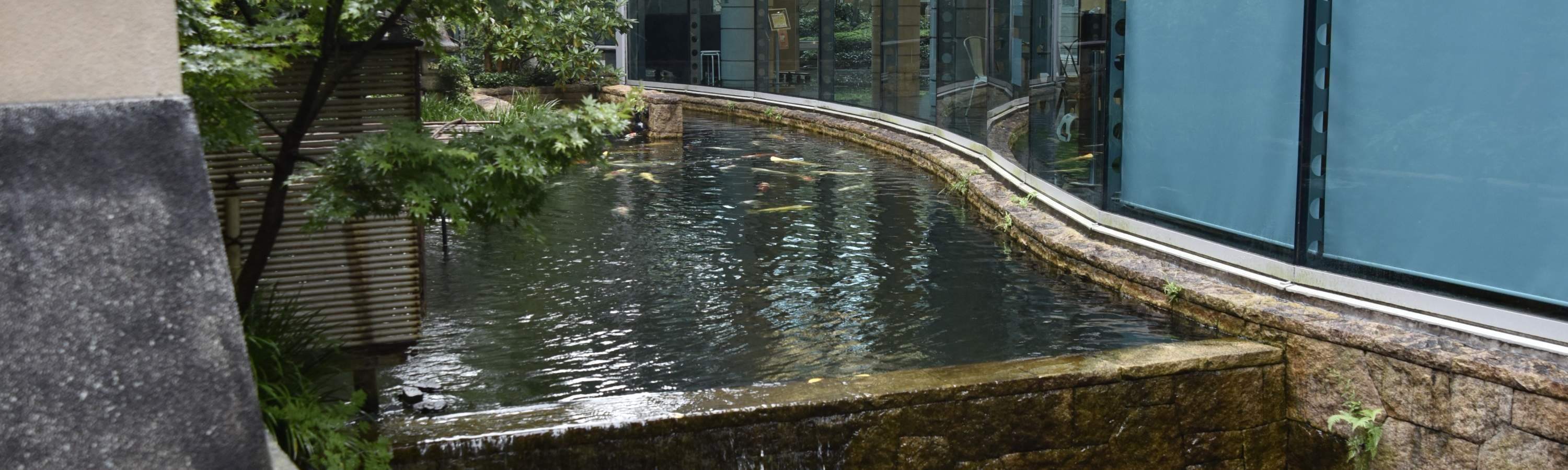 🏛️ 세타가야 문학관 (세타가야 분가쿠칸) 이미지 9